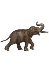 Éléphant Asiatique Mâle