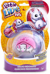 Little Live Pets S2 Riccio rotondo Famosa 700013972