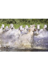 Puzzle 1000 Caballos Blancos de la Camarga