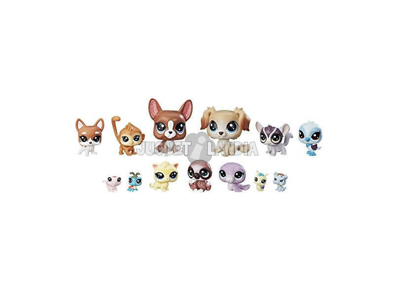 Pet Shop Pet Pacote Pequeno 13 Figuras Hasbro B9343