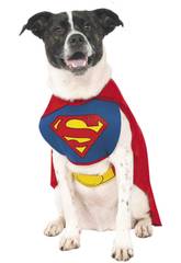 Deguisement Mascotte Superman taille XL Rubies 887892-XL