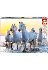 Puzzle 1000 Caballos Blancos al Atardecer Educa 17105