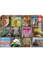 Puzzle 1.000 Collage d'Animaux Sauvages Educa 17656