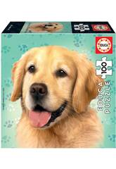Puzzle Junior 100 Golden Retriever Educa 18800