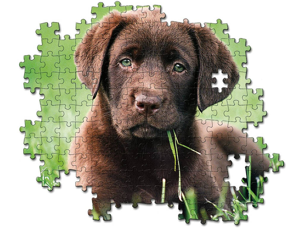 Puzzle 500 Chocolate Hund Clementoni 35072