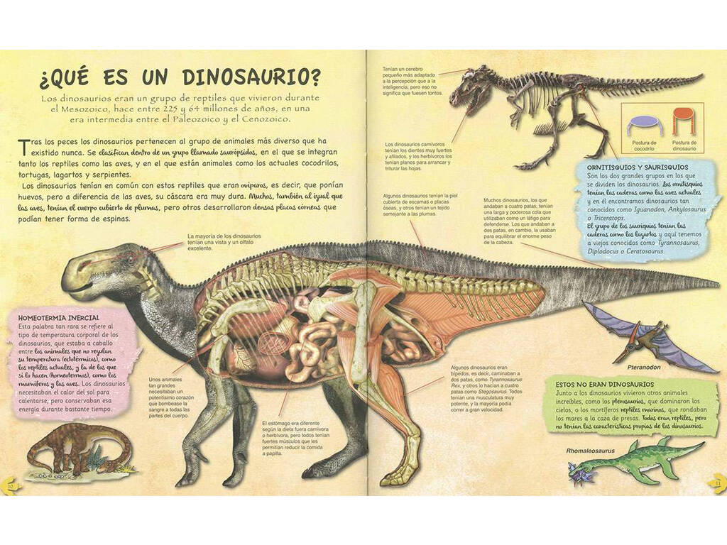 Erforsche und lerne das Zeitalter der Dinosaurier Susaeta S2098003