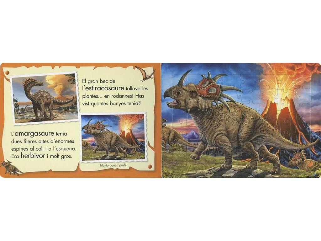 Llibre Puzzle 48 Dinosaurierfische S1384003