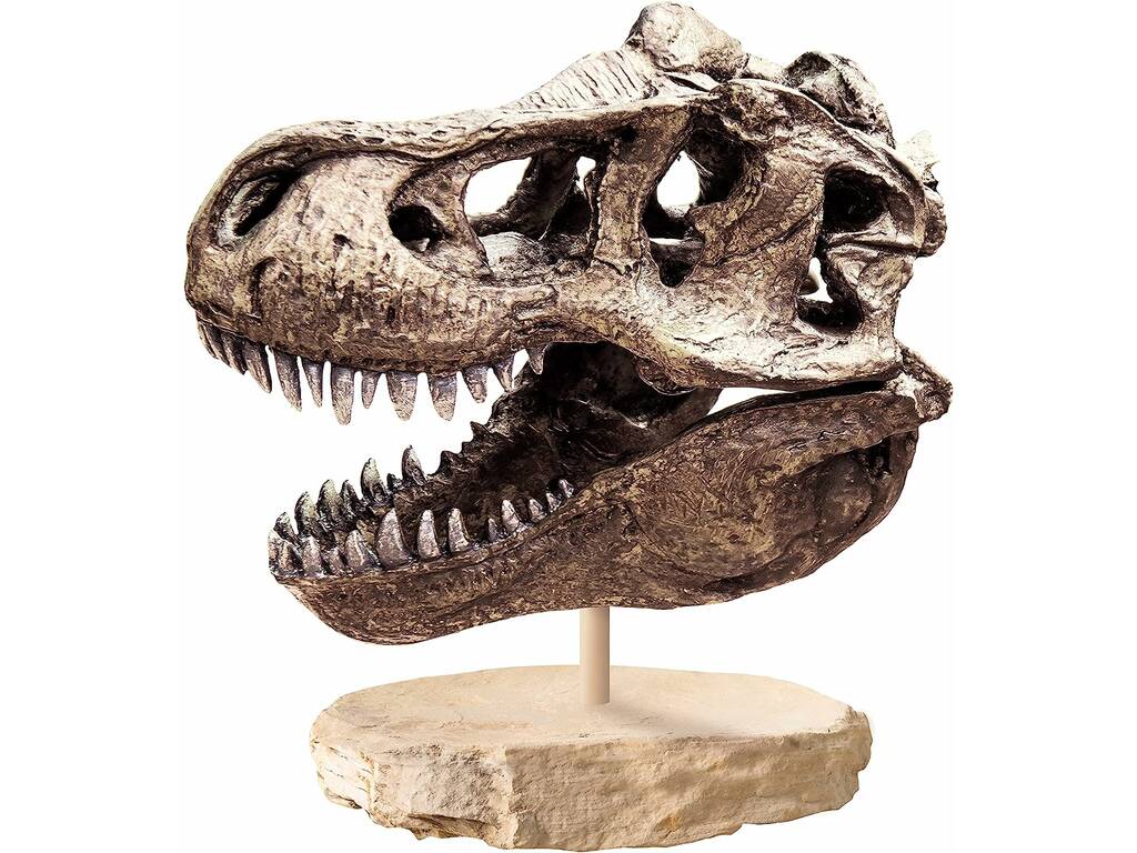 Archeogiocando il teschio di T-Rex di Clementoni 55483