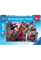 Puzzle Spiderman 3x49 Pezzi Ravensburger 08025