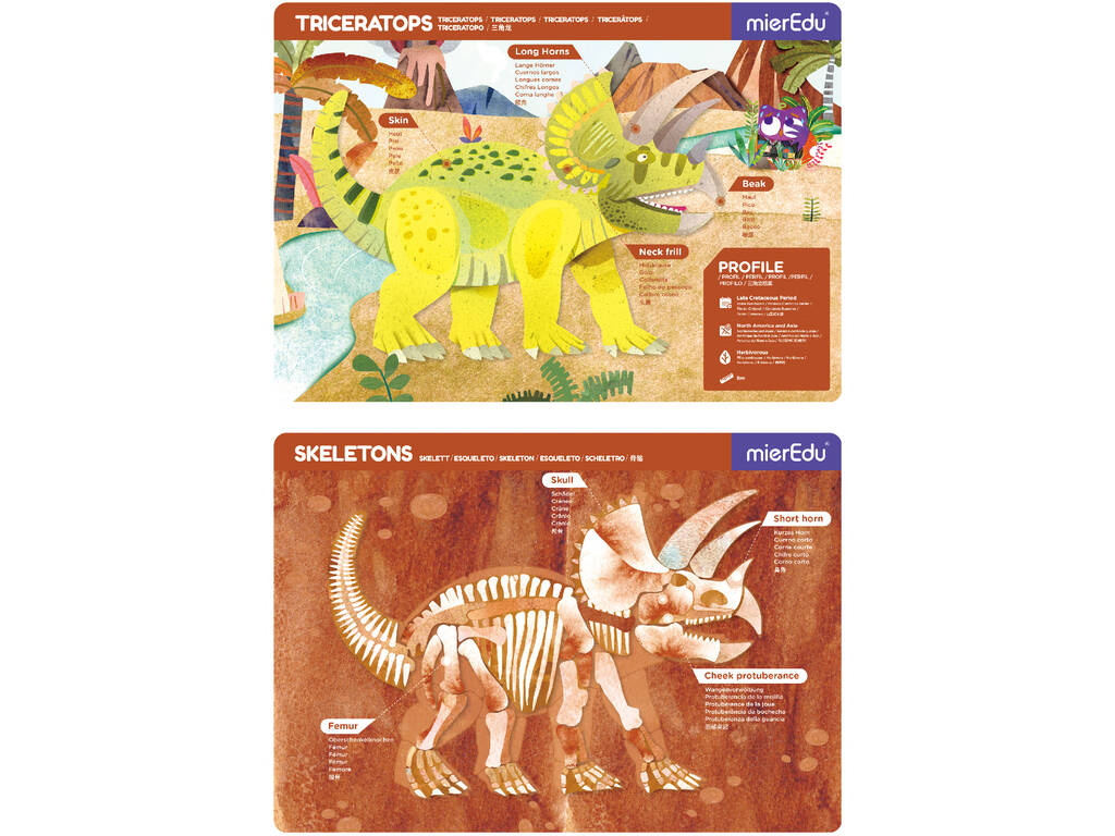 Magnetic Pad Triceratops Mier Edu ME0545