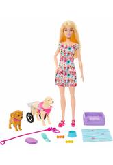 Barbie Passeadora de Co com Cadeira de Rodas de Mattel HTK37