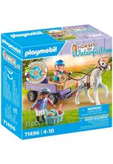 Playmobil Horses of Waterfall Kutsche mit Pony 71496