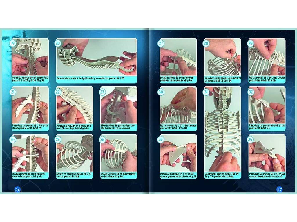 Modèles 3D Corps humain S3583002