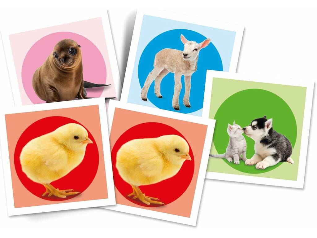 Mémo Animaux Bébés