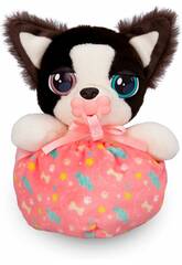 IMC Baby Paws Mini Border Collie 922396