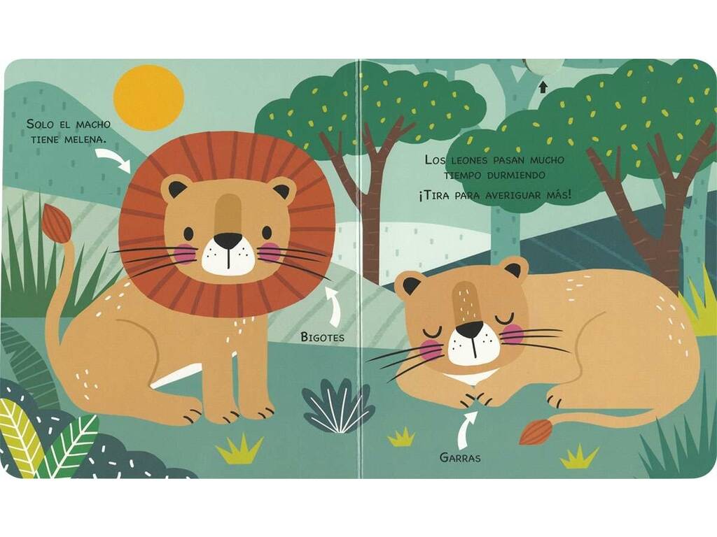 Livre de pages cachées Animaux sauvages avec onglets