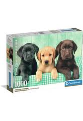 Puzzle 1000 Trois laboratoires