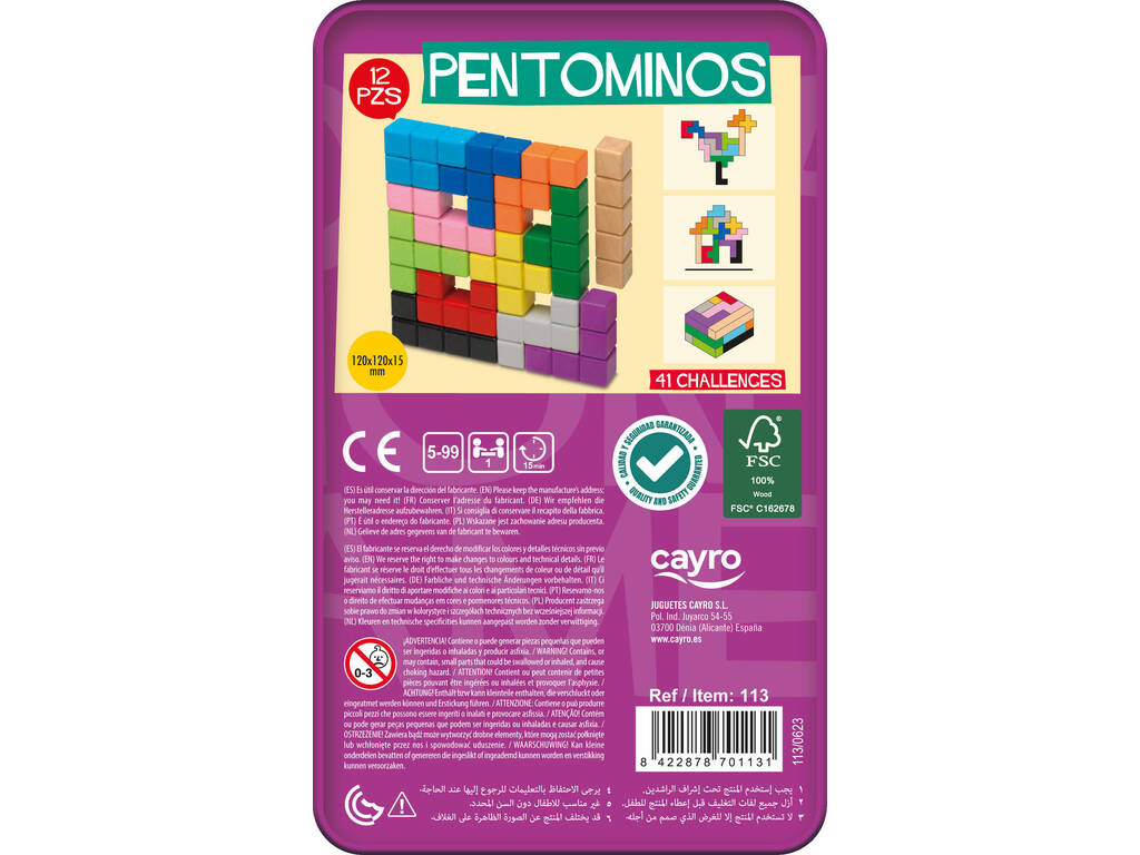 Pentominos en bois dans une boîte métallique avec 41 défis