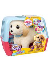Little Live Pets Mascotte interactive Ouchies Cooper