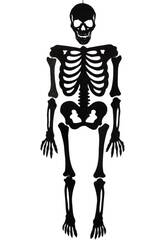 Esqueleto Negro Eva Con Brillo 155 cm.