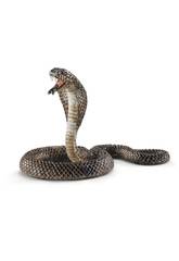 Cobra